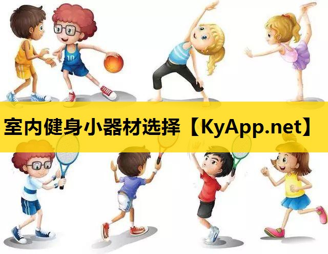 室内健身小器材选择