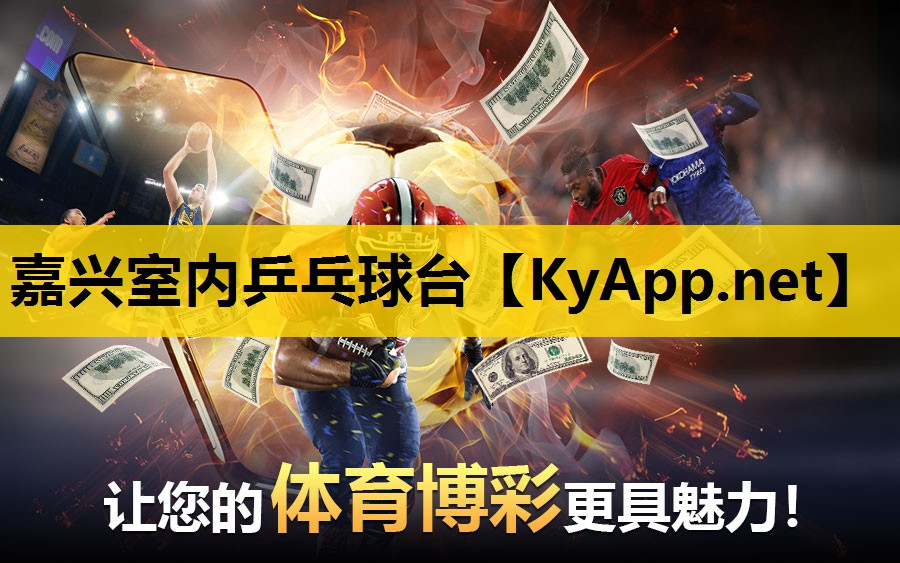 嘉兴室内乒乓球台