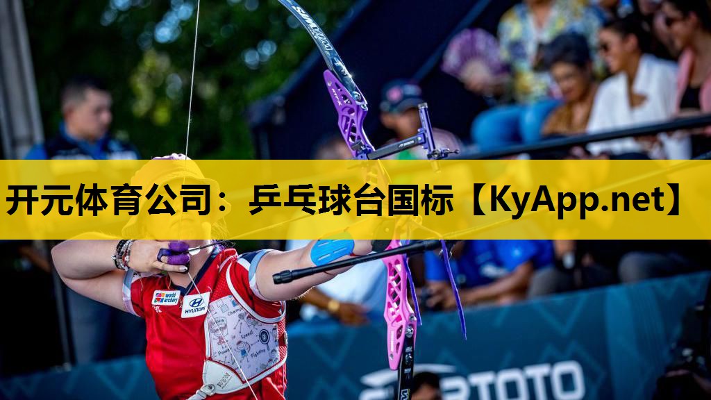 开元体育公司：乒乓球台国标