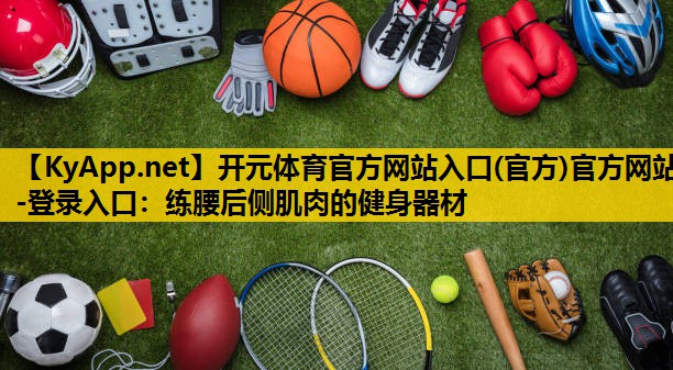<strong>开元体育官方网站入口(官方)官方网站-登录入口：练腰后侧肌肉的健身器材</strong>
