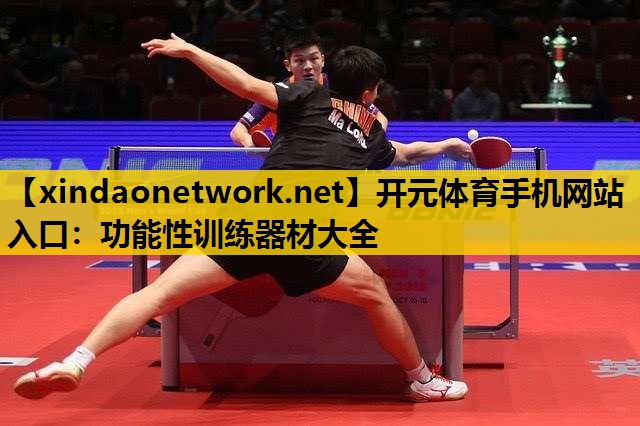 <strong>开元体育手机网站入口：功能性训练器材大全</strong>