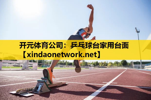 <strong>开元体育公司：乒乓球台家用台面</strong>