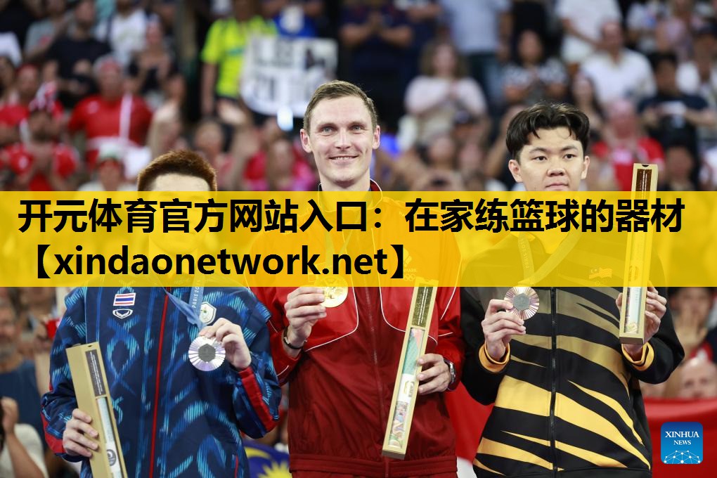 <strong>开元体育官方网站入口：在家练篮球的器材</strong>