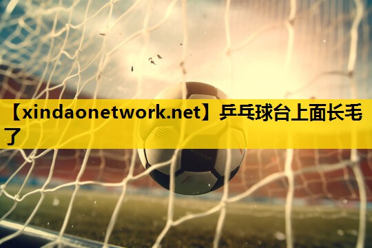 <strong>乒乓球台上面长毛了</strong>