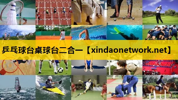 <strong>乒乓球台桌球台二合一</strong>