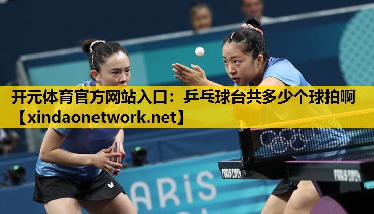 开元体育官方网站入口：乒乓球台共多少个球拍啊