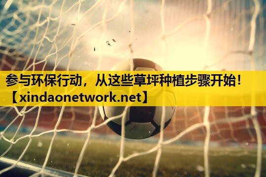 参与环保行动，从这些草坪种植步骤开始！