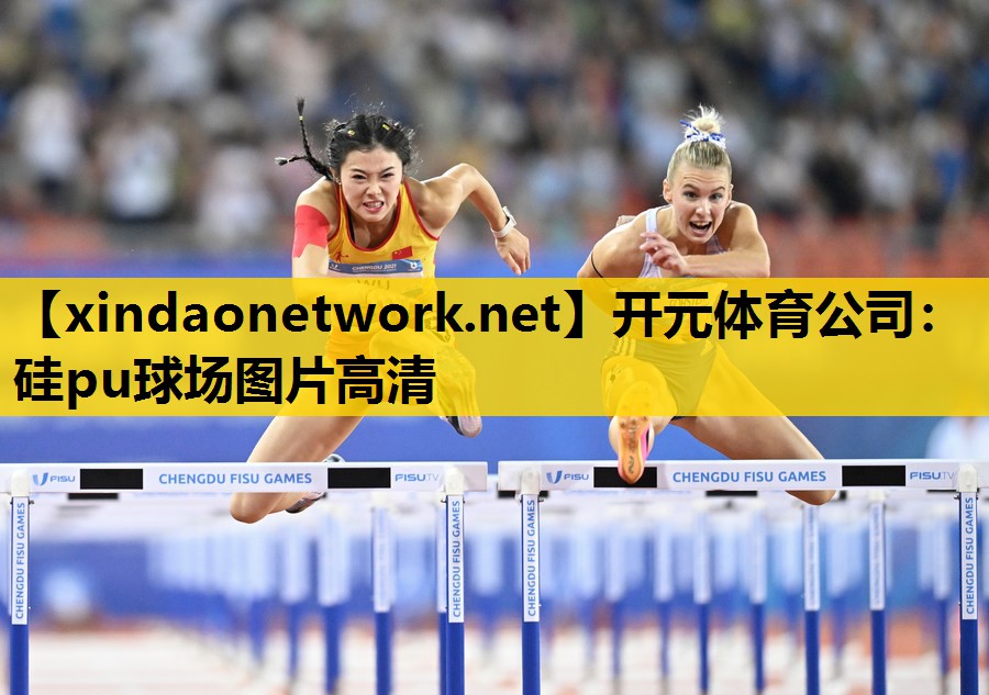 <strong>开元体育公司：硅pu球场图片高清</strong>