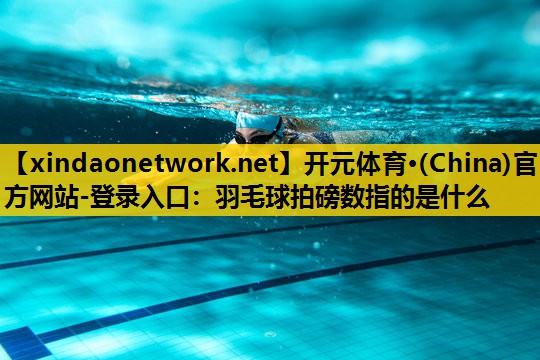 <strong>开元体育·(China)官方网站-登录入口：羽毛球拍磅数指的是什么</strong>