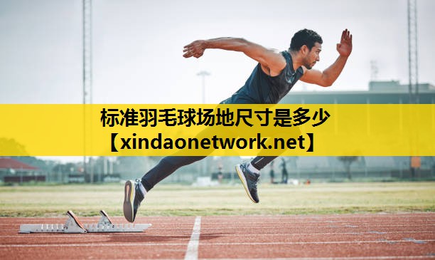 <strong>标准羽毛球场地尺寸是多少</strong>
