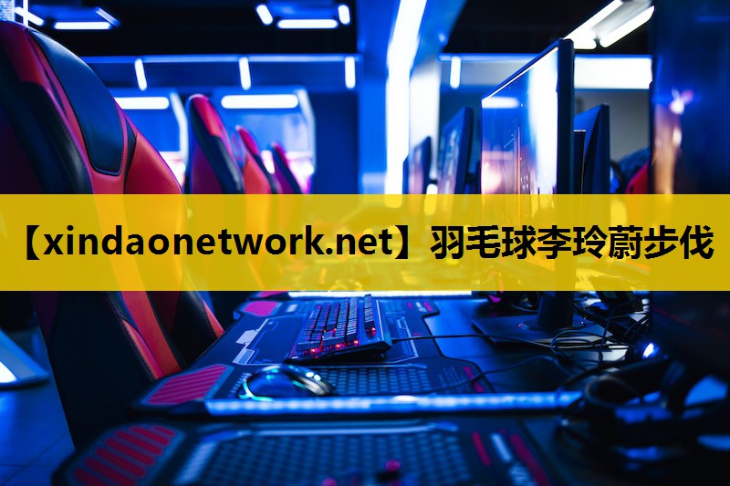 羽毛球李玲蔚步伐