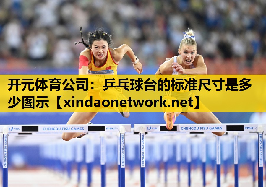 开元体育公司：乒乓球台的标准尺寸是多少图示