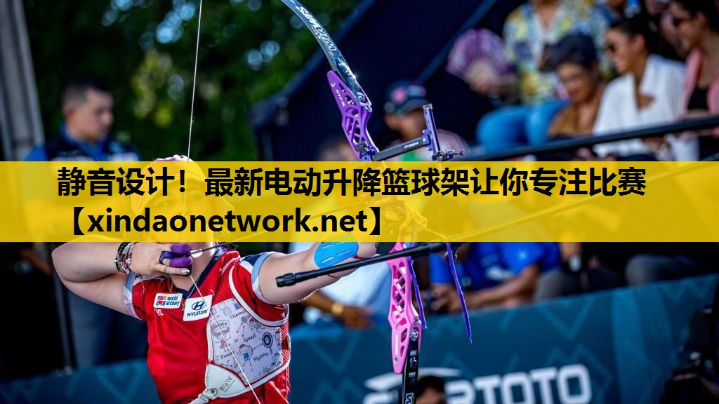 <strong>静音设计！最新电动升降篮球架让你专注比赛</strong>