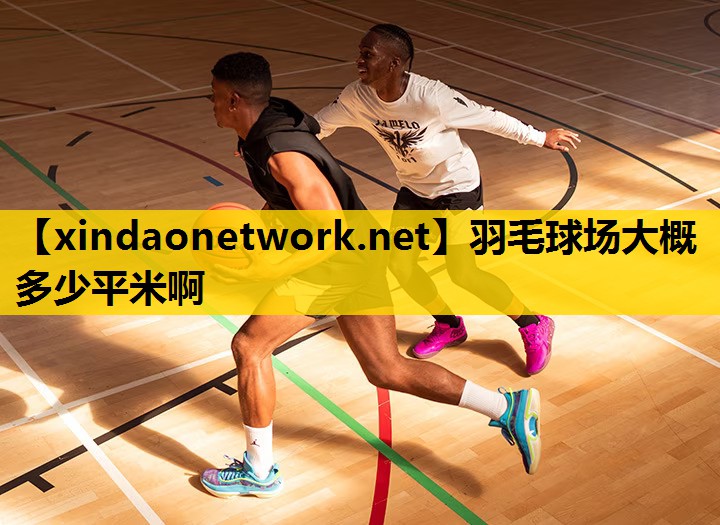 羽毛球场大概多少平米啊