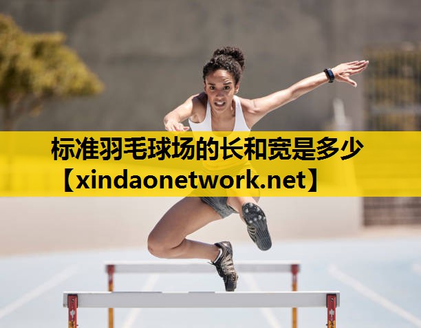 <strong>标准羽毛球场的长和宽是多少</strong>