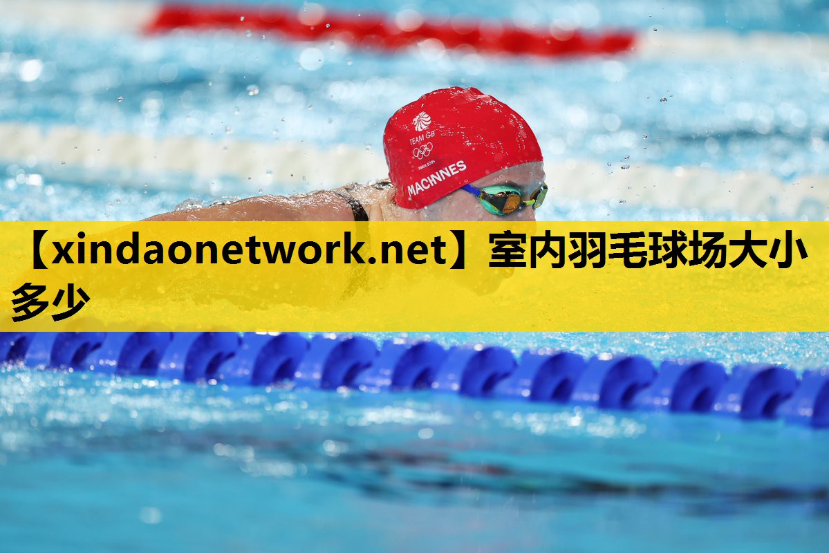 <strong>室内羽毛球场大小多少</strong>