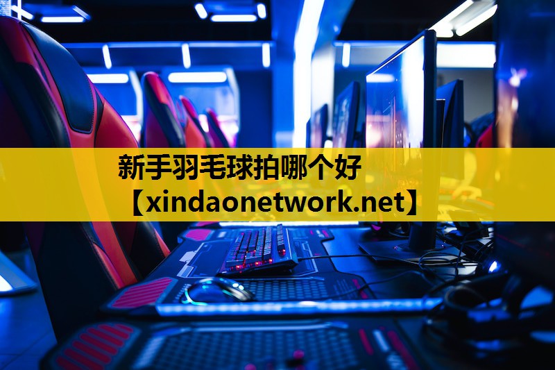 新手羽毛球拍哪个好