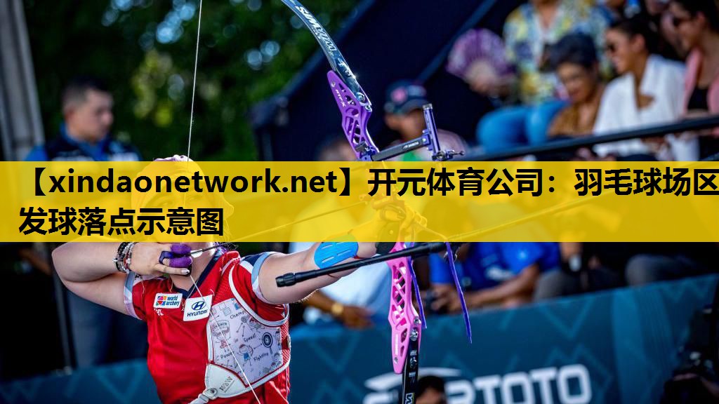 开元体育公司：羽毛球场区发球落点示意图