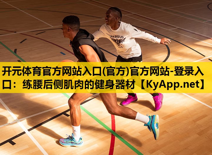 练腰后侧肌肉的健身器材