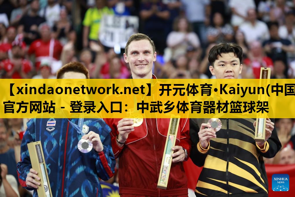 中武乡体育器材篮球架