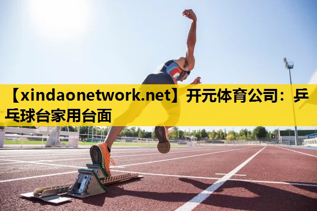 乒乓球台家用台面