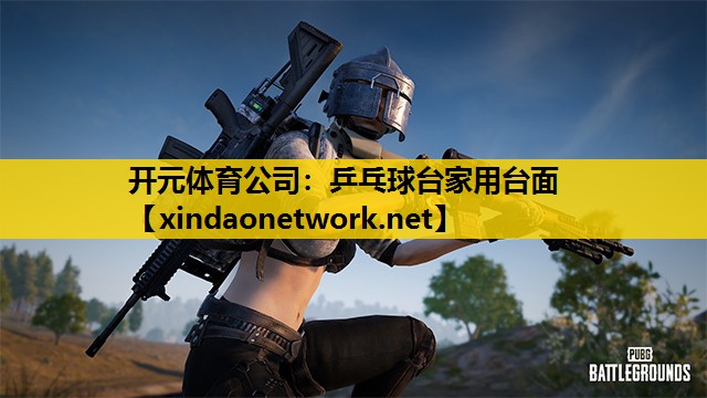 乒乓球台家用台面