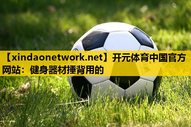 健身器材捶背用的