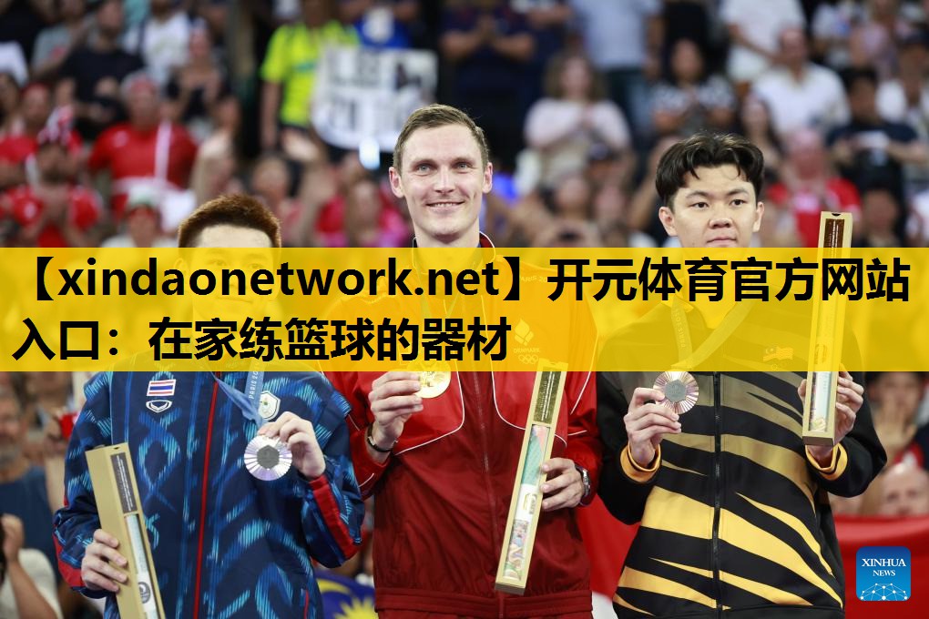 在家练篮球的器材
