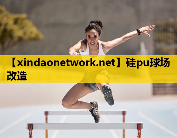 硅pu球场改造