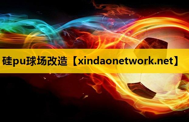 硅pu球场改造