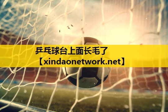 乒乓球台上面长毛了