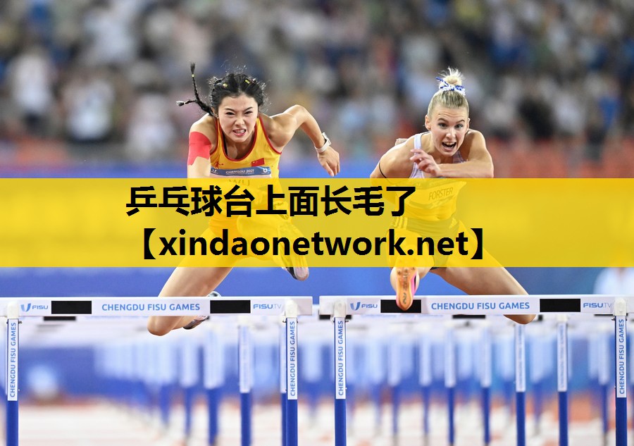 乒乓球台上面长毛了