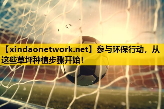 参与环保行动，从这些草坪种植步骤开始！
