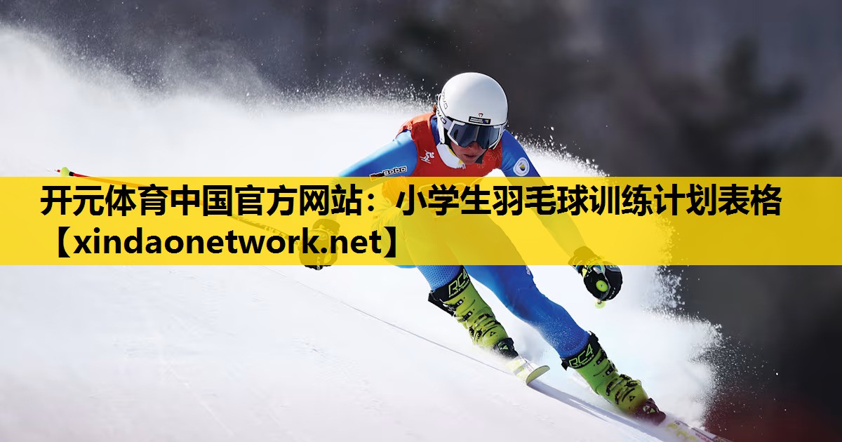 小学生羽毛球训练计划表格