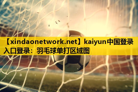 羽毛球单打区域图
