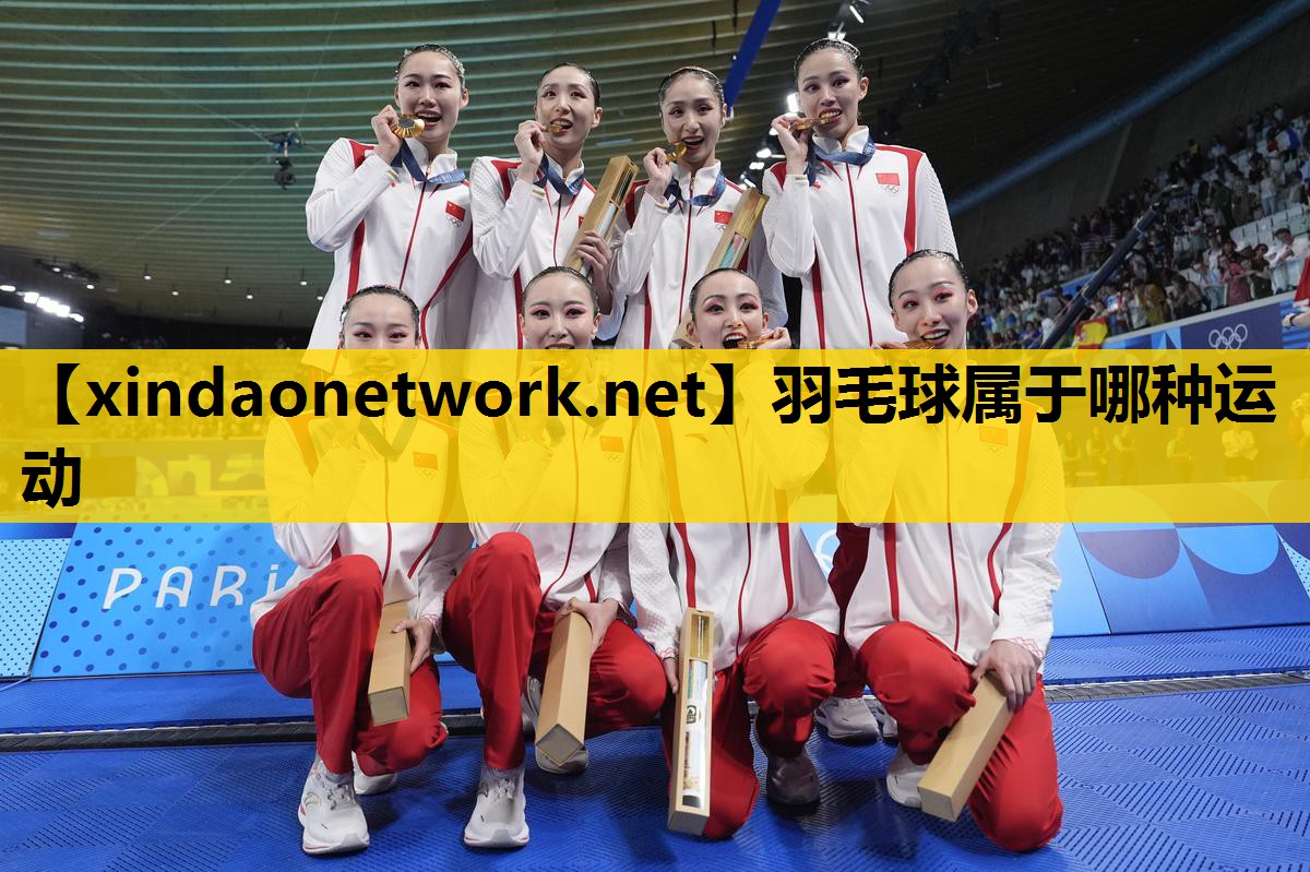羽毛球属于哪种运动