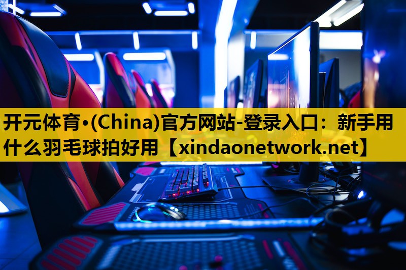 新手用什么羽毛球拍好用