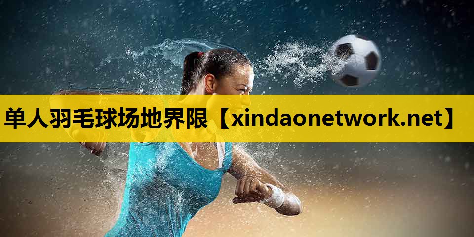 单人羽毛球场地界限