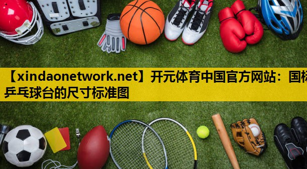 国标乒乓球台的尺寸标准图