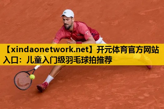 儿童入门级羽毛球拍推荐