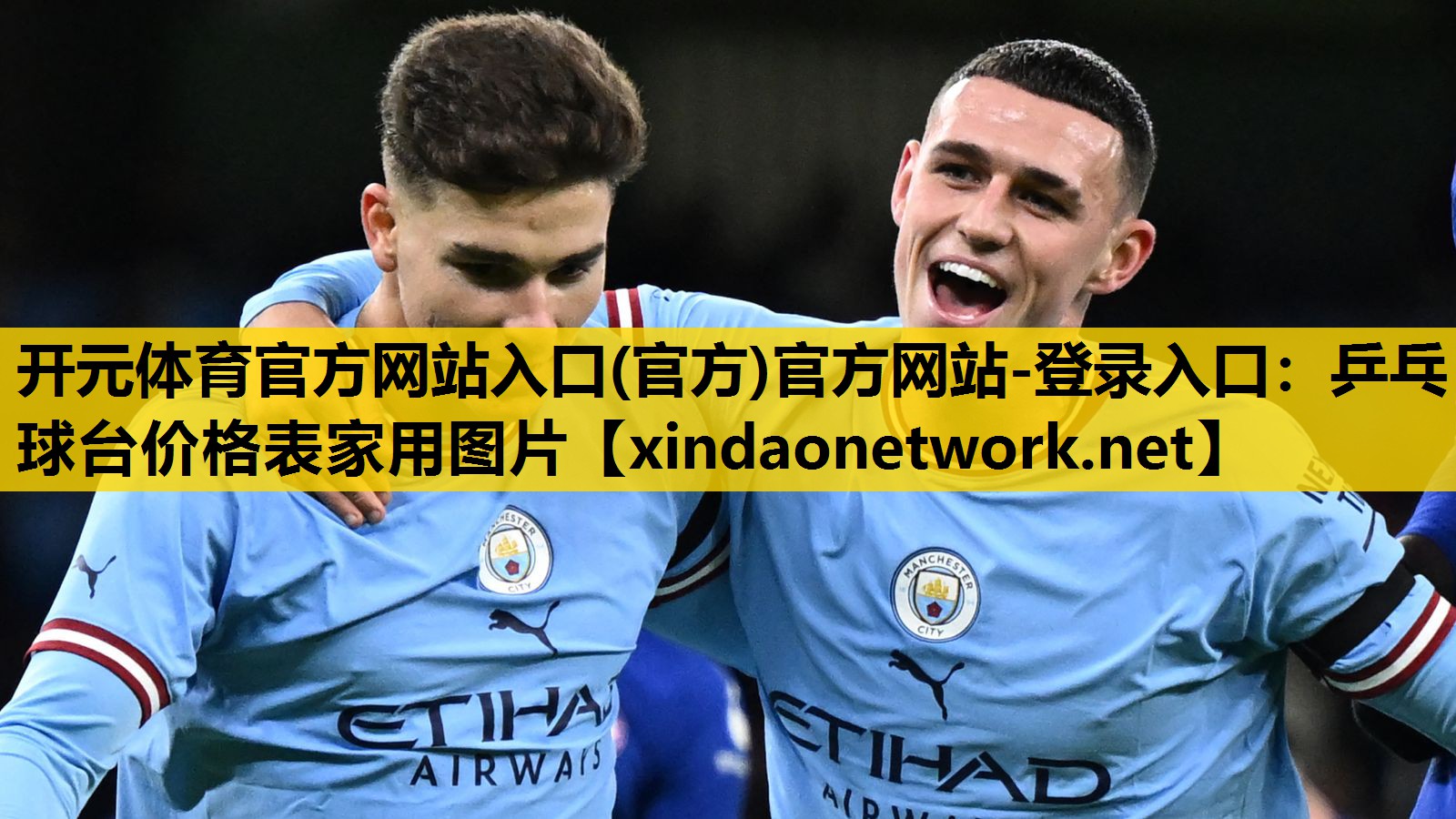 乒乓球台价格表家用图片