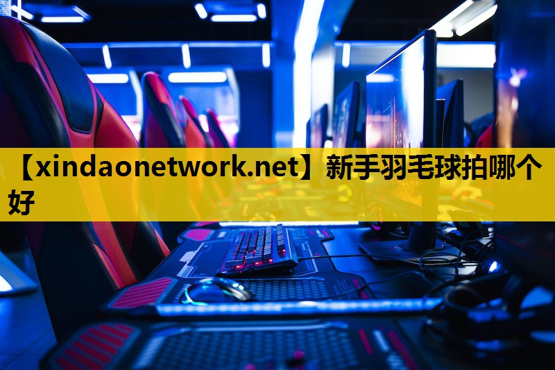 新手羽毛球拍哪个好