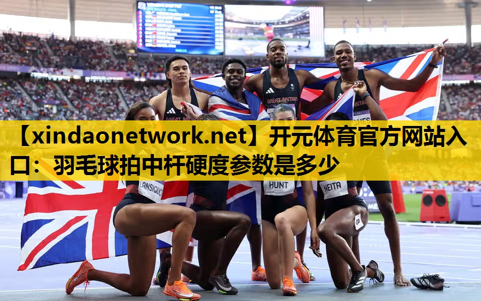 羽毛球拍中杆硬度参数是多少