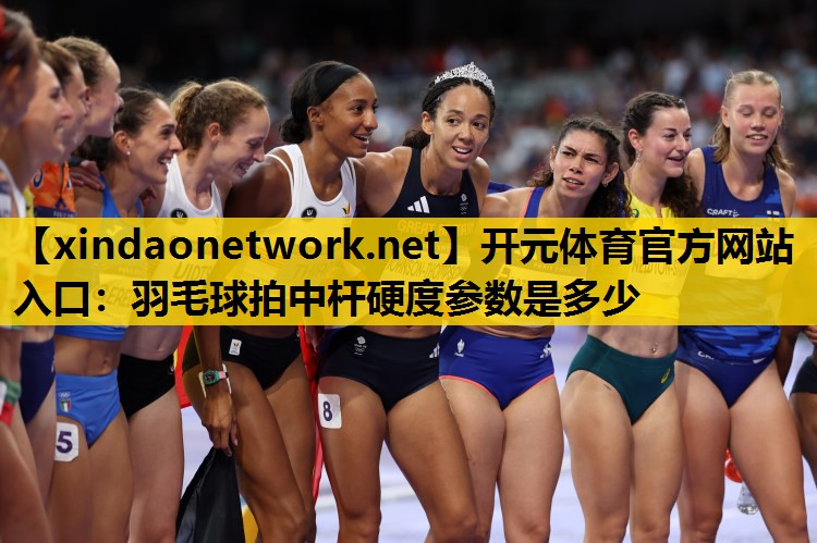 羽毛球拍中杆硬度参数是多少