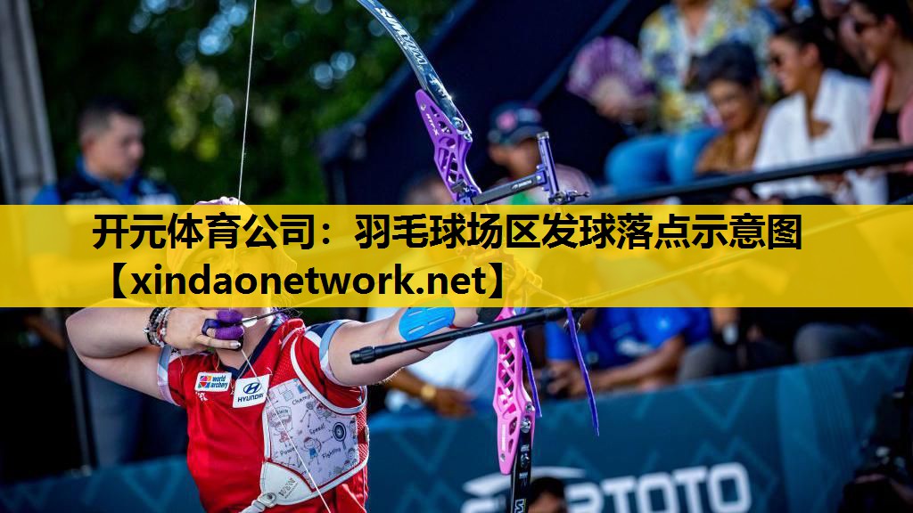 羽毛球场区发球落点示意图